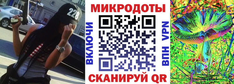 гидра Звенигород Псилоцибиновые грибы мицелий