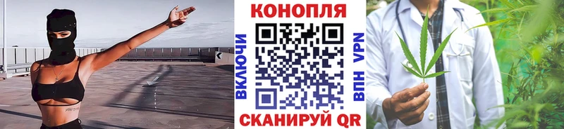 купить наркотик  Звенигород  Марихуана Amnesia 